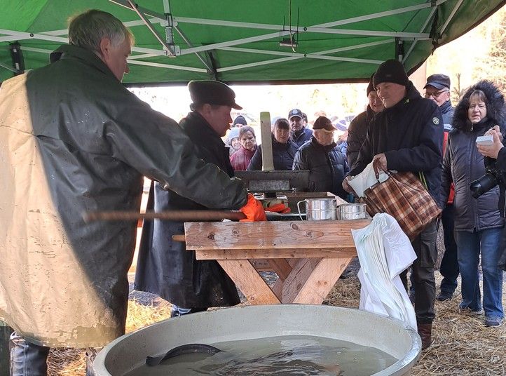 Zdroj fotografií: kanc. náměstka města Plzně A. Tolara 231218_Tolar_vanoce_ryby_1