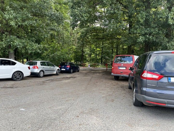 240726_Les_parkovani_auta
