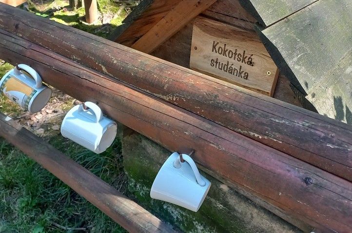 240819_Studanka_Kokotská
