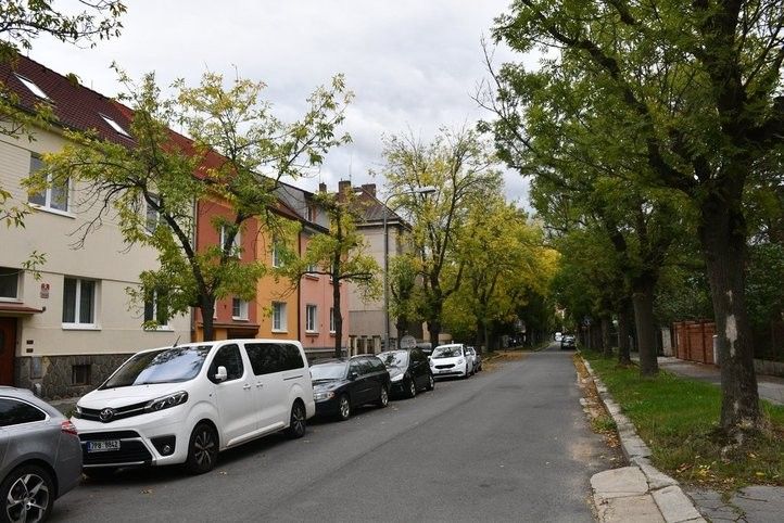 241007_kapitana_jarose_06