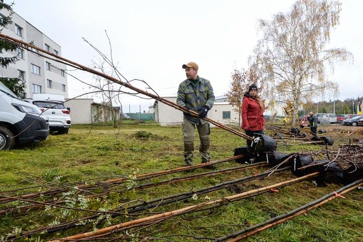 Ilustrační foto: M. Pecuch 241118_Dreviny_stromy_2