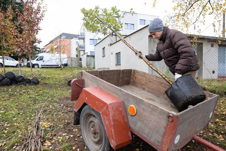 Fotografie: M. Pecuch 241118_Dreviny_stromy_6