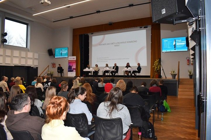 241127_Konference_Domaci_nasili_3