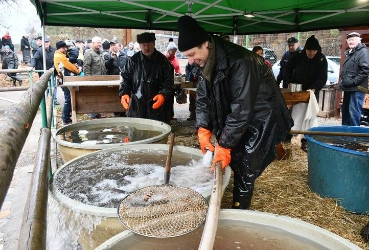 241219_prodej_ryb_03