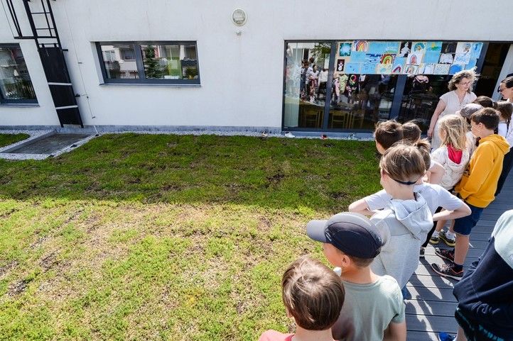 250210_Zelena_strecha_MS_1