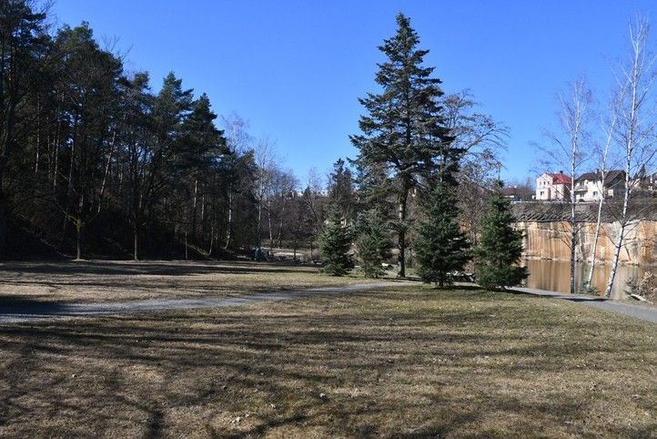 250319_Kosutecke_jezirko_1