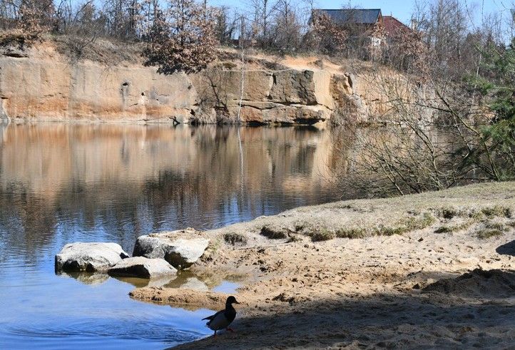 250319_Kosutecke_jezirko_2