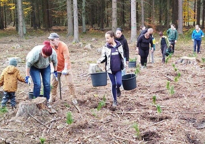 250404_Den_pro_les_2