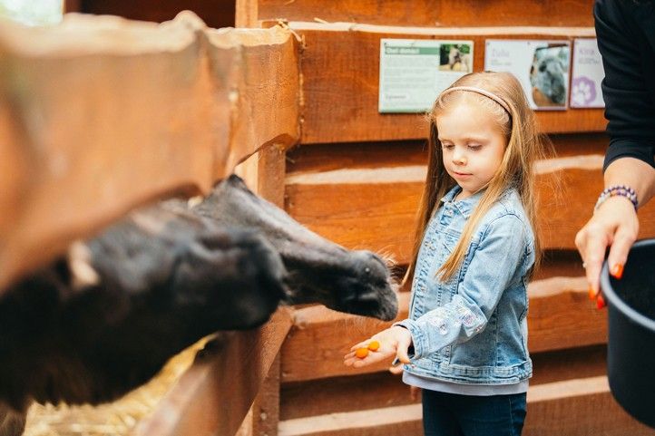 250408_Visit_Plzen_Turismus_1