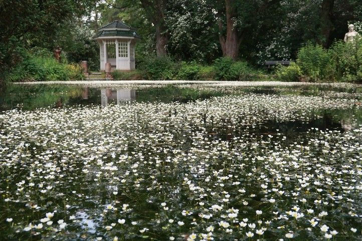 Ilustrační foto (zdroj: Správa veřejného statku města Plzně) 250523_Plzen_zahrady_1