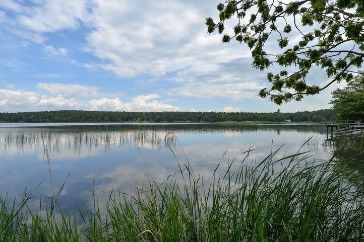 250605_bolevak_sezona_04