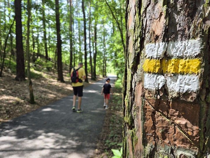 Zdroj fotografií: ÚMO Plzeň 1 250718_EPU_Plzen_2