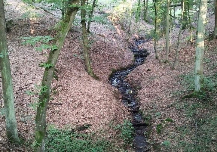 Obnova hráze rybníka v Zábělé. Fotografie: R. Žáková, M. Sekáč 250806_Vodni_Nadrz_Zabela_05