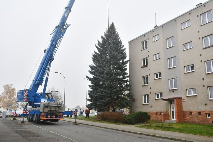 250903_Vanocni_strom_2