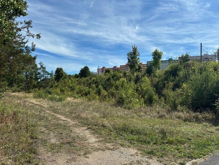 250905_PredatorPark_01