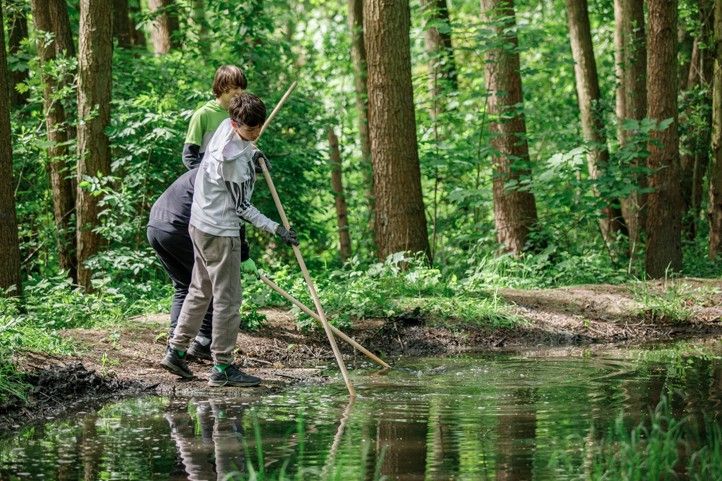 250929_Les_uklid_17_zs_3