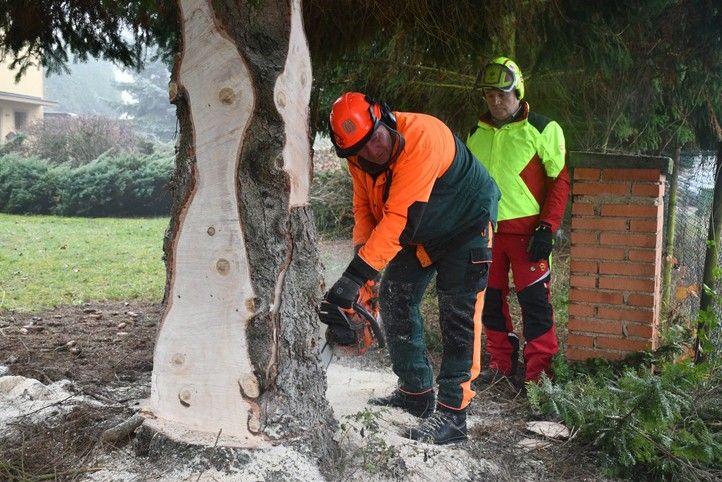 251112_Vanocni_strom_svoz_1