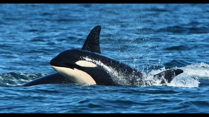 Zdroj fotografií: archiv Moving Station 260202_Moving_Station_3