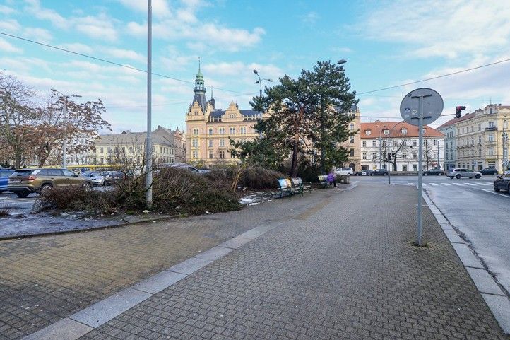 260205_Sady_Petatricatniku_2