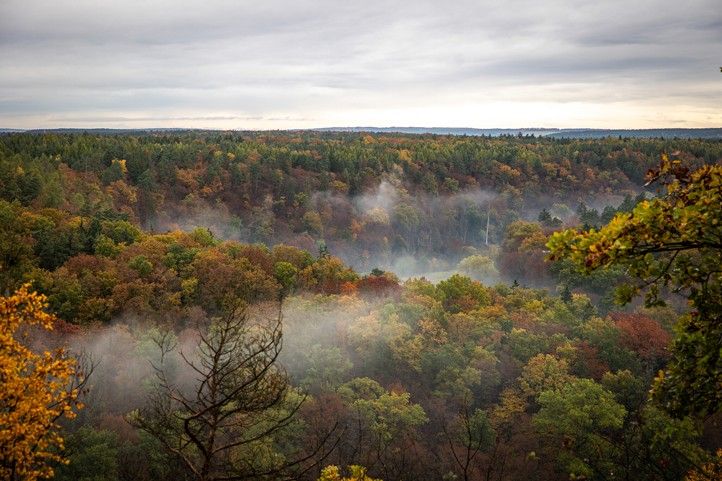 260319_Milan_Sekac_les_3