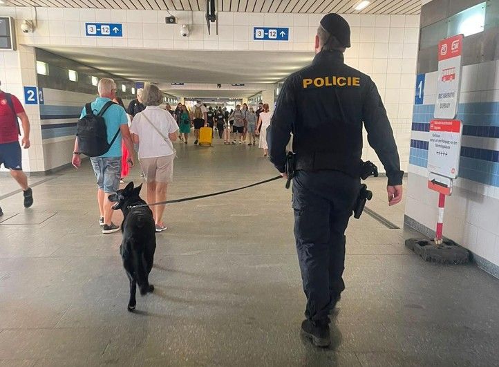 Zdroj fotografií: Policie ČR a Městská policie Plzeň 260930_Hlavni_vlak_nadrazi_policie_2